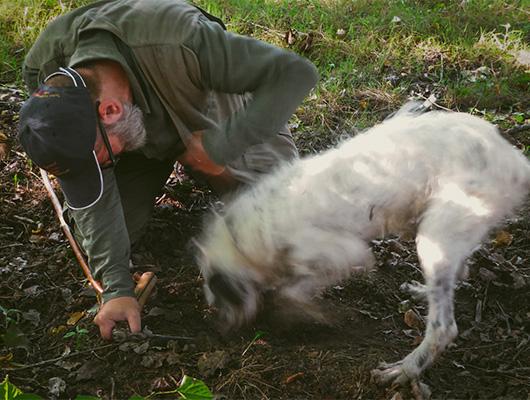 Truffle hunting in the Langhe Region, Italy by C Kelly